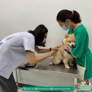 26 ก.ย.65 บริการฉีดวัคซีนป้องกันโรคพิษสุนัขบ้า