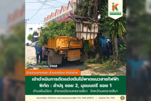 6 มิ.ย.68 ตัดแต่งต้นไม้พาดแนวสายไฟฟ้า